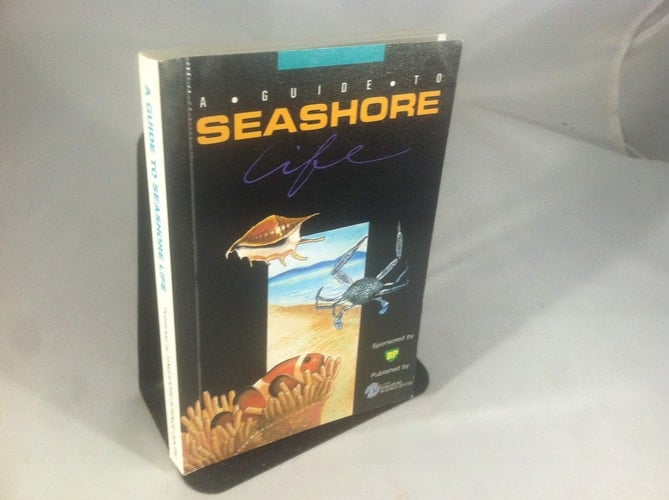 A Guide to Seashore Life
