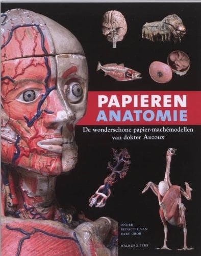 Papieren anatomie: de wonderschone papier-machémodellen van dokter Auzoux