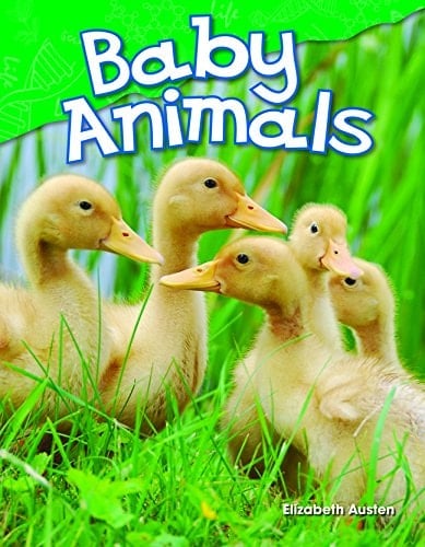 Baby Animals