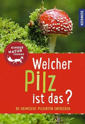 Welcher Pilz ist das 85 heimische Pilzarten entdecken