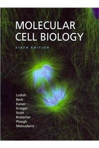 Molecular Cell Biology