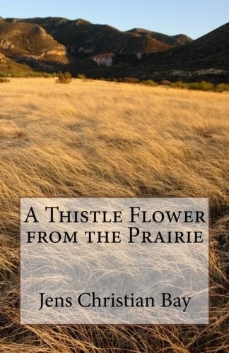 A Thistle Flower from the Prairie