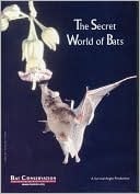 The Secret World Of Bats