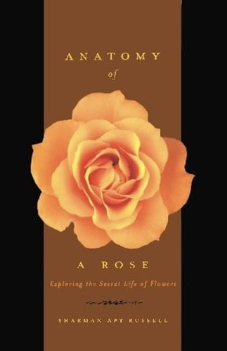 Anatomy Of A Rose
