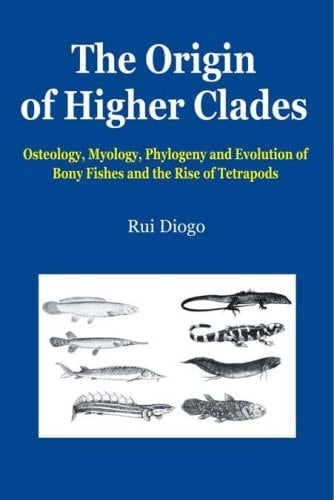 The Origin of Higher Clades: Osteology, Myology, Phylogeny and Evolution of Bony Fishes and the Rise of Tetrapods