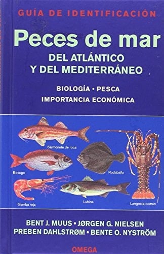Guia de Identificacion Peces de Mar Del Atlantico y Del Mediterraneobiologia Pesca Importancia Economic