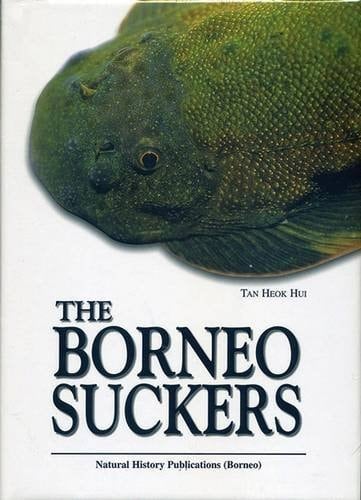 The Borneo Suckers Revision of the Torrent Loaches of Borneo (Balitoridae, Gastromyzon, Neogastromyzon)