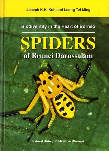 Biodiversity in the Heart of Borneo Spiders of Brunei Darussalam