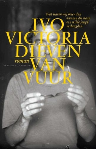 Dieven van vuur roman