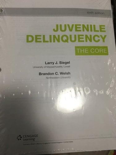 Juvenile Delinquency The Core