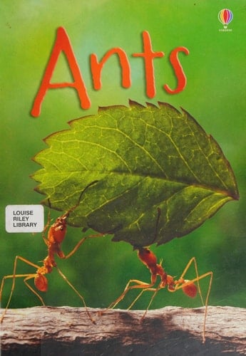 Ants
