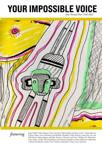 Your Impossible Voice #29: Fall 2023