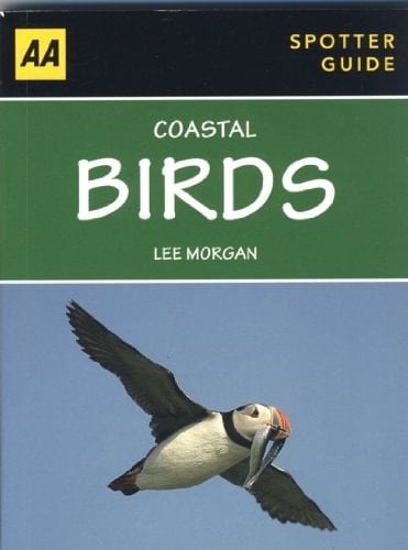 Coastal Birds