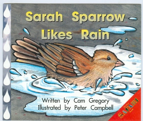 Sarah Sparrow Likes Rain
