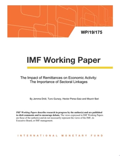 The Impact of Remittances on Economic Activity: The Importance of Sectoral Linkages