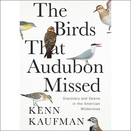 The Birds That Audubon Missed: Discovery and Desire in the American Wilderness