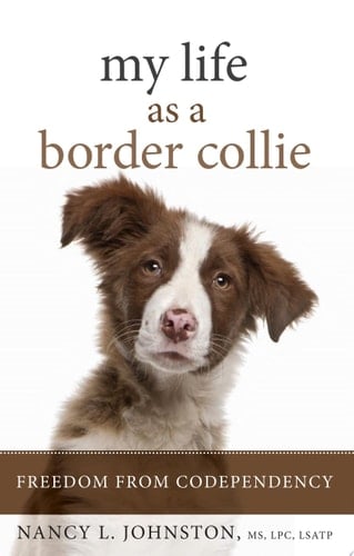 My Life As a Border Collie