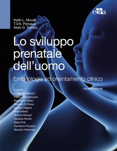 Lo sviluppo prenatale dell’uomo Embriologia ad orientamento clinico