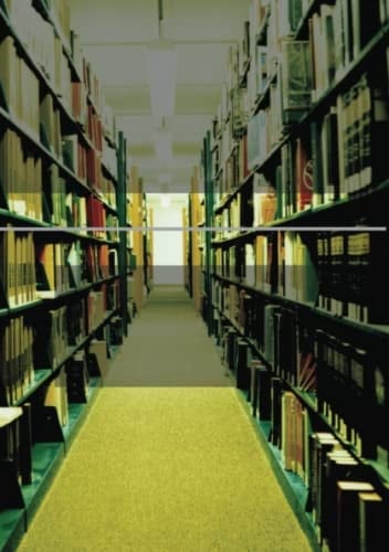 kingkong 2 1 (Japanese Edition)