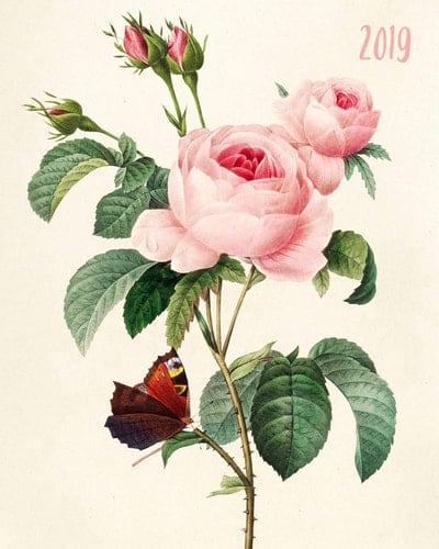 2019 Weekly Planner, Pink, Rose, Flower, Floral, 8x10, Organizer, Agenda, Diary, Journal, Notebook,8x10