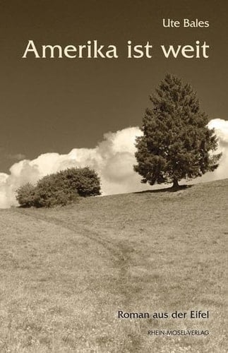 Amerika ist weit Roman