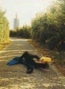 Bas Jan Ader Ocean Wave