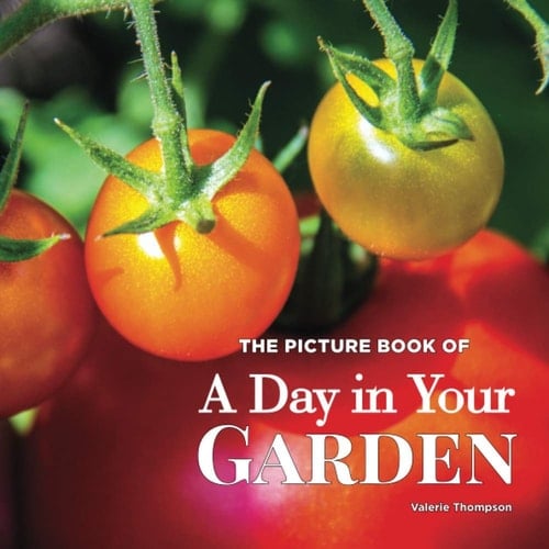 The Picture Book of a Day in Your Garden