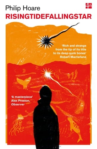 RisingTideFallingStar