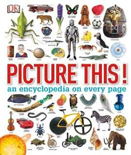 Picture Thsi! An Encyclopedia on Every Page