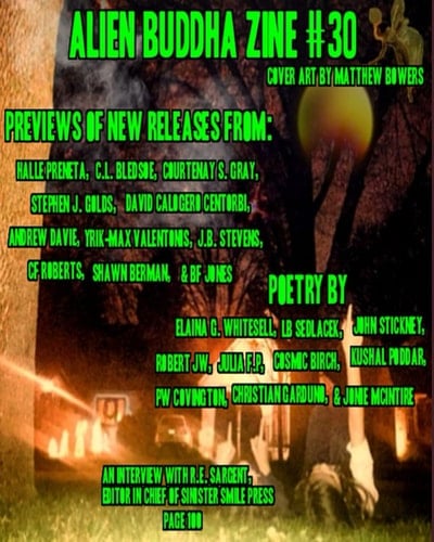 Alien Buddha Zine #30: standard color print