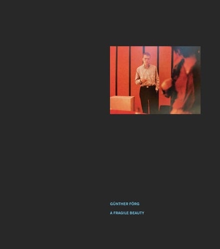 Günther Förg A Fragile Beauty