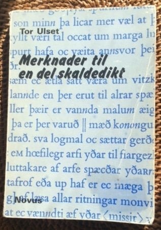 Merknader til en del skaldedikt (Norwegian Edition)