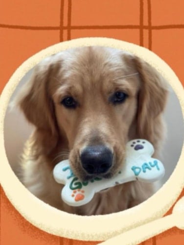 Pet Chef: Receitas: bolo e biscoitos para aniversário pet (Portuguese Edition)