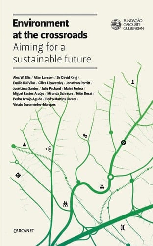 Environment at the Crossroads