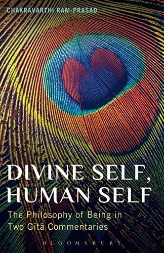 Divine Self Human Self
