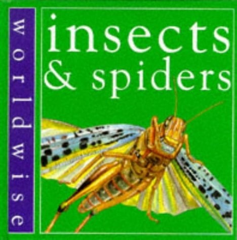 Insects and Spiders