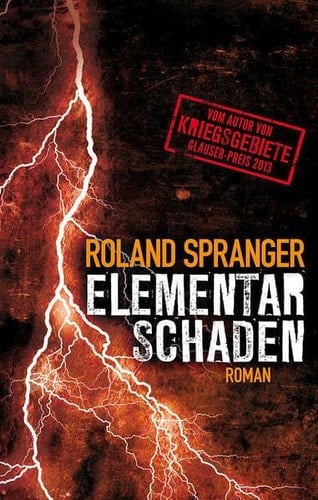 Elementarschaden Roman