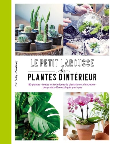 Petit Larousse des plantes d'intérieur 180 plantes, toutes les techniques de plantation et d'entretien, des projets déco expliqués pas à pas