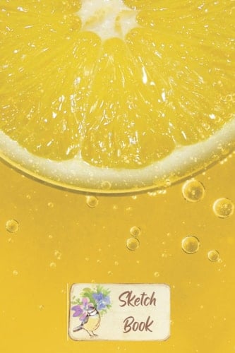 Lemon Sketch Book: Pretty sketching book , blank on drawing sketch book , notebook for doodling or sketching , 120 pages 6 x 9 inches