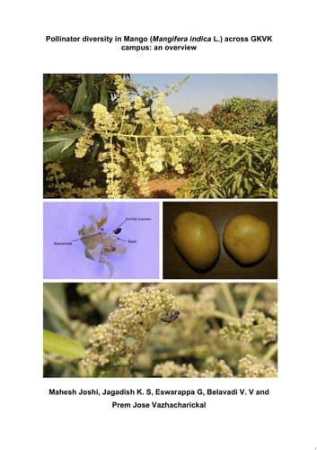 Pollinator diversity in Mango (Mangifera indica L.) across GKVK campus: an overview