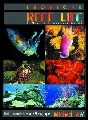 Tropical Reef Life