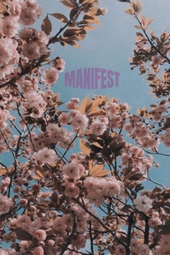 Manifestation Journal: 6 x 9 - Journal for Manifesting the life you want- 100 pages white lined paper with date line at top