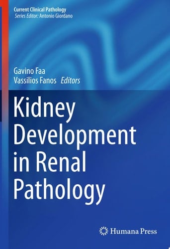 Kidney Development in Renal Pathology