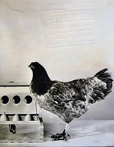 Inventario lugar, Museo de Arte Carrillo Gil : fecha, diciembre 2007-marzo 2008