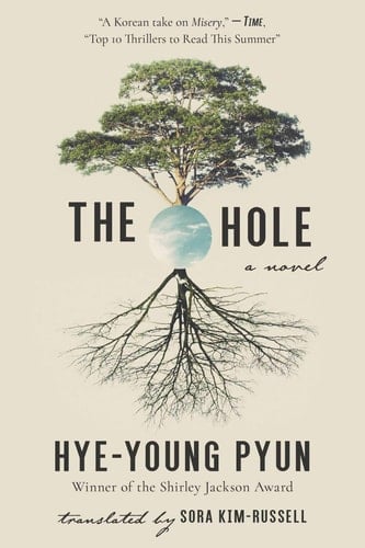 The Hole A Novel