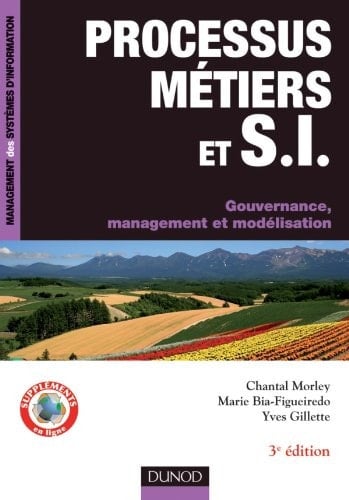 Processus métiers et systèmes d'information Gouvernance, management, modélisation