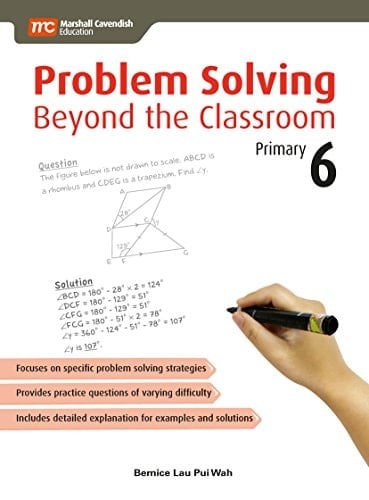 Problem Solving Beyond the Classroom: Primary 6