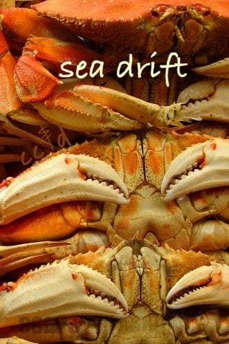 Sea Drift Cc&d MagazIne 249. 8, a 21 Year Bonus Anniversary Issue/book