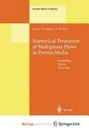 Numerical Treatment of Multiphase Flows in Porous Media Proceedings of the International Workshop Held at Beijing, China, 2–6 August 1999