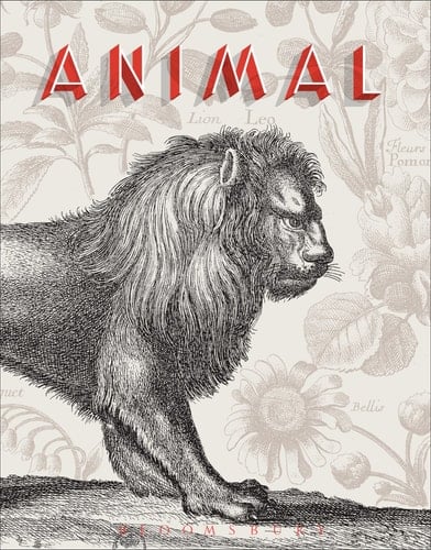 Animal A Beastly Compendium